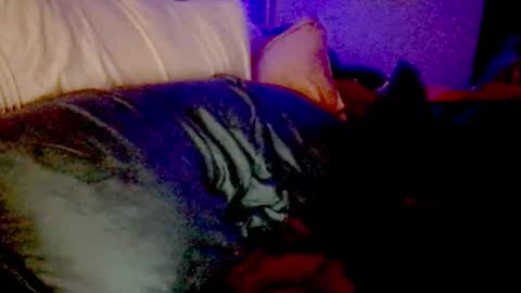 Luna Daddys Girl online show from 11-25-25, 09:20