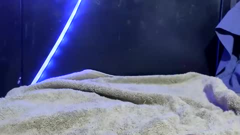 lurkus online show from 12-21-25, 07:48