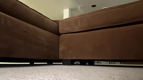 Snapshot of luv_2_master_bate chatting on 09-23-25, 07:06 luv_2_master_bate online show from 09-23-25, 07:06