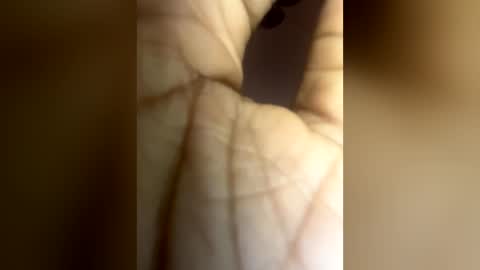 Snapshot of luvvlee chatting on 06-29-26, 06:19 luvvlee online show from 06-29-26, 06:19