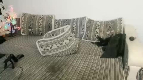 LuxMelys online show from 12-25-24, 05:48