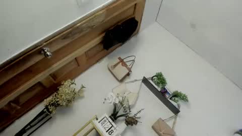 Janelovesu online show from 06-28-26, 12:27