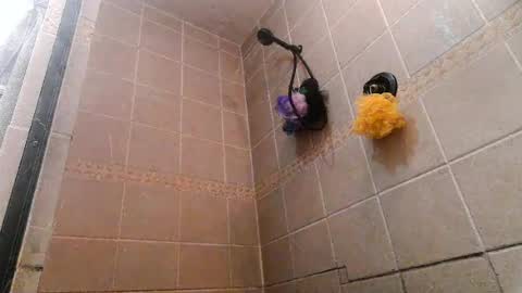 Mace Shwanger online show from 07-01-26, 07:57