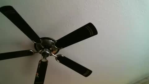 Snapshot of mad_dem0n chatting on 01-05-25, 12:31 Manuel online show from 01-05-25, 12:31