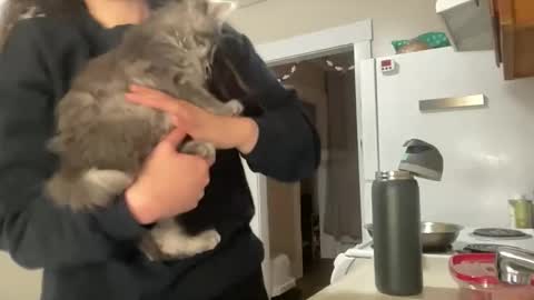 maddyhasyummypussy online show from 12-15-25, 12:48