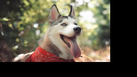 magic_katarina_ online show from 01-25-25, 02:36