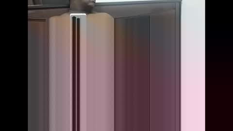 maheel84 online show from 01-11-26, 05:29