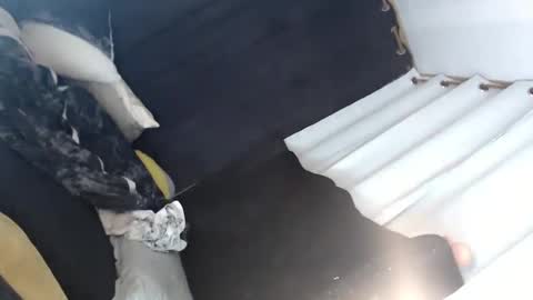 Snapshot of majestic_princesslei chatting on 01-12-25, 07:11 Lei online show from 01-12-25, 07:11