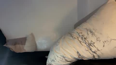 Snapshot of majestic_princesslei chatting on 10-13-25, 12:54 Lei online show from 10-13-25, 12:54