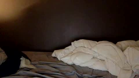 malefrench1 online show from 03-25-26, 04:18