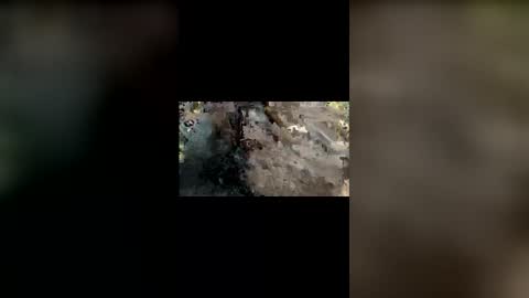 Snapshot of mallubulldick chatting on 11-25-25, 08:42 Mallubull online show from 11-25-25, 08:42