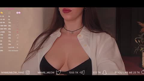 Snapshot of mamiemeow chatting on 02-03-25, 04:31 Your Miss Alice online show from 02-03-25, 04:31