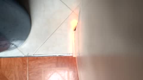 Snapshot of mamm7772024 chatting on 04-04-26, 07:00 Mickey online show from 04-04-26, 07:00