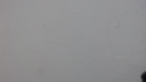 Snapshot of mamy02 chatting on 04-24-26, 10:39 cristal online show from 04-24-26, 10:39