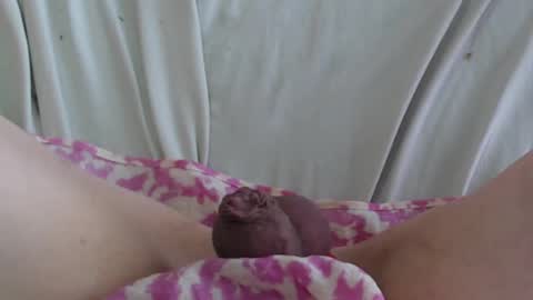 ..          .. online show from 02-22-25, 05:35