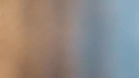 Jan and Man online show from 01-18-26, 06:06