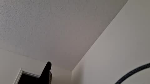 Jan and Man online show from 03-31-26, 09:04