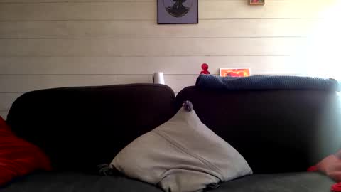 Manpo online show from 10-12-25, 01:43