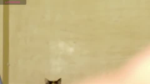 Snapshot of manumeow_ chatting on 06-18-26, 01:06 Manu online show from 06-18-26, 01:06