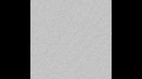 Margot online show from 01-31-25, 11:24