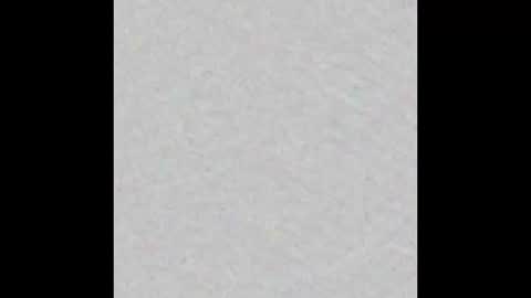 Margot online show from 02-24-25, 11:21