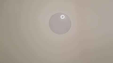 sofia online show from 11-29-25, 08:06