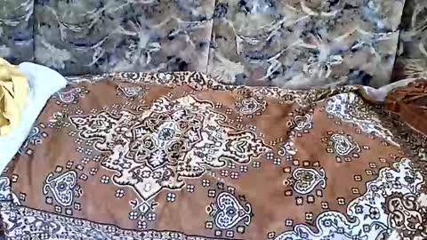 Snapshot of marian20242025 chatting on 11-01-25, 07:10 marian20242025 online show from 11-01-25, 07:10