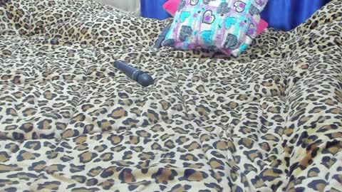 Marie   online show from 01-23-25, 01:56