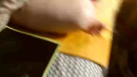 marinalady online show from 01-26-25, 10:24