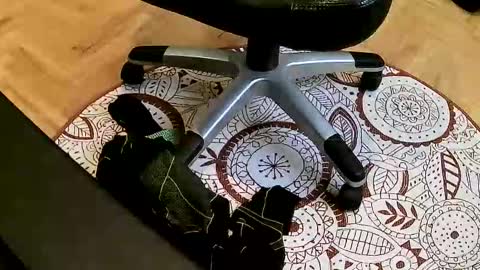 marcoxxl online show from 03-22-26, 02:42