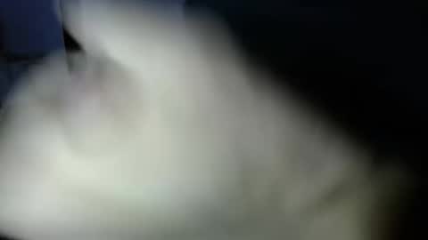 Snapshot of mark_270 chatting on 04-03-26, 06:06 mark_270 online show from 04-03-26, 06:06