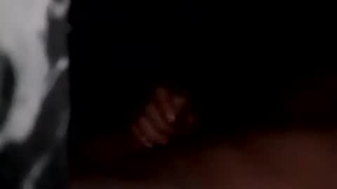 Maryland Man online show from 12-20-24, 05:25