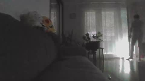 Nikola online show from 05-24-26, 01:49