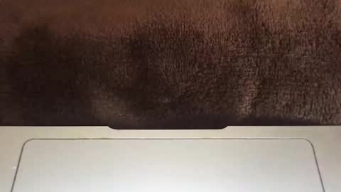 massivehungbigdick online show from 06-02-26, 09:06