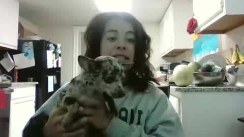 Snapshot of mastressluna chatting on 11-21-25, 09:24 Mastress Luna online show from 11-21-25, 09:24