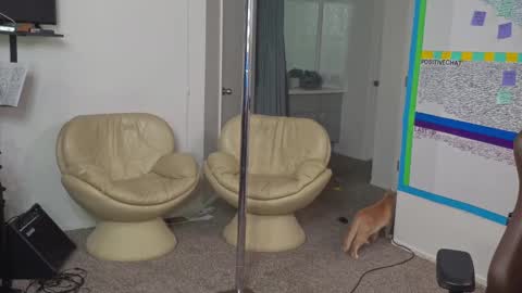 Snapshot of mattcashxxx chatting on 01-10-25, 02:14 Matt Cash online show from 01-10-25, 02:14