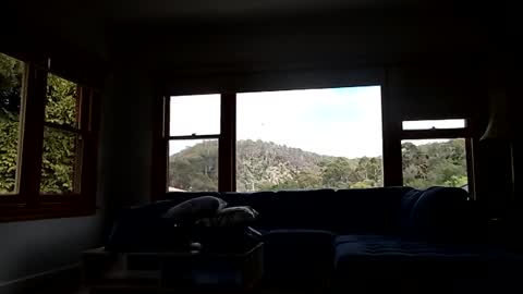 Snapshot of mattlesnake_101 chatting on 02-15-26, 12:40 mattlesnake_101 online show from 02-15-26, 12:40