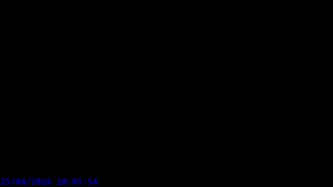 Maxel F online show from 04-25-26, 06:05
