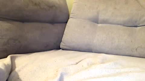 Snapshot of maximemax14 chatting on 02-25-26, 08:18 maximemax14 online show from 02-25-26, 08:18