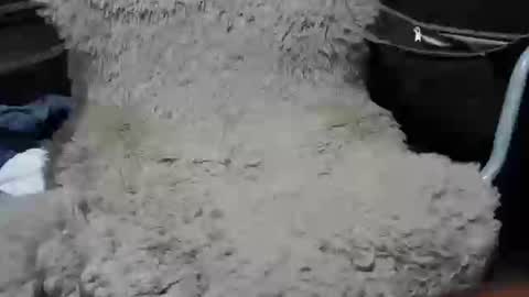 Snapshot of maximus_oreally chatting on 01-07-25, 02:19 Max online show from 01-07-25, 02:19