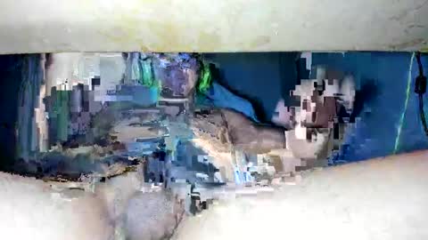 maykalvess online show from 02-10-25, 09:58