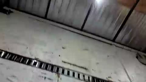 Snapshot of mechanix88 chatting on 05-05-26, 04:09 Bruh online show from 05-05-26, 04:09
