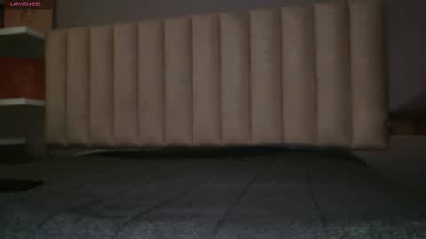     online show from 01-19-26, 11:58