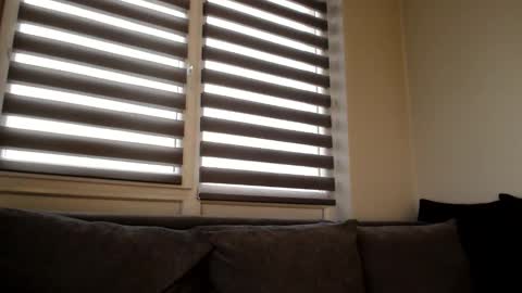 Melania online show from 12-21-24, 12:38