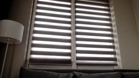 Melania online show from 12-31-24, 11:53