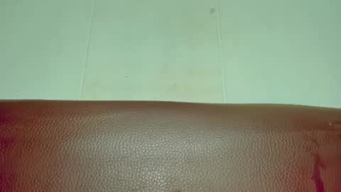 Snapshot of melania_browis chatting on 06-15-26, 04:36 Melania online show from 06-15-26, 04:36