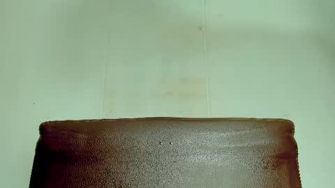 Snapshot of melania_browis chatting on 06-26-26, 05:28 Melania online show from 06-26-26, 05:28