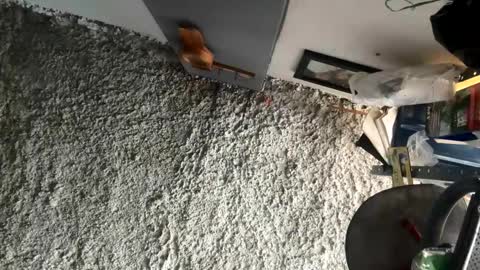 melodysnow online show from 01-05-26, 05:49