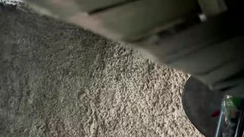 melodysnow online show from 01-09-26, 12:52