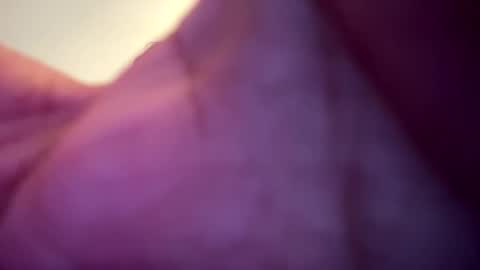 memolesta13 online show from 02-09-25, 02:06